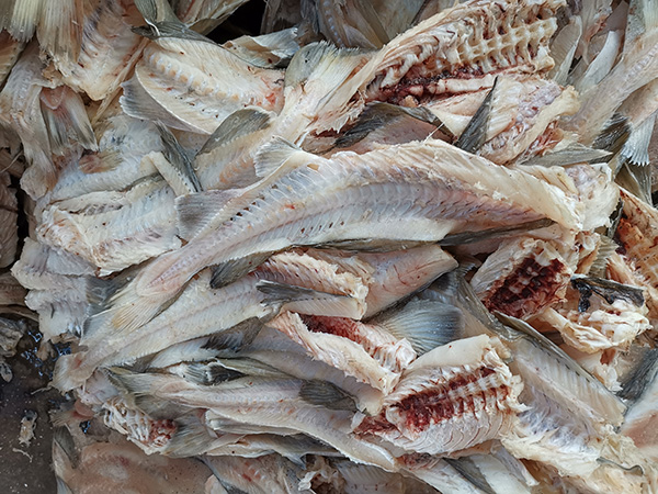 �㵰����ԭ��