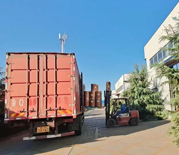 �󶹵����˳���