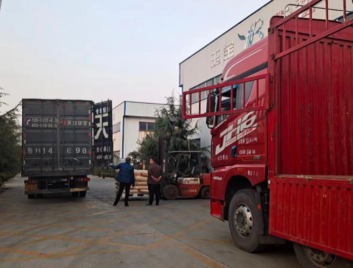 �󶹵�����